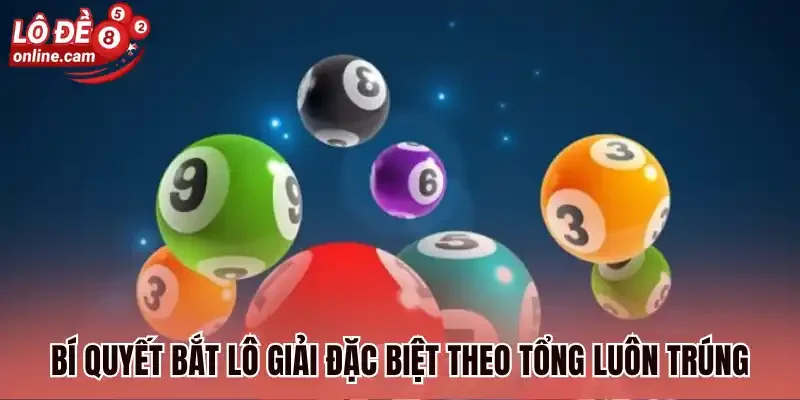Lô Rơi Từ Giải Đặc Biệt - Hé Lộ 3 Cách Soi Cầu Luôn Trúng 3 Bí quyết bắt lô giải đặc biệt theo tổng luôn trúng