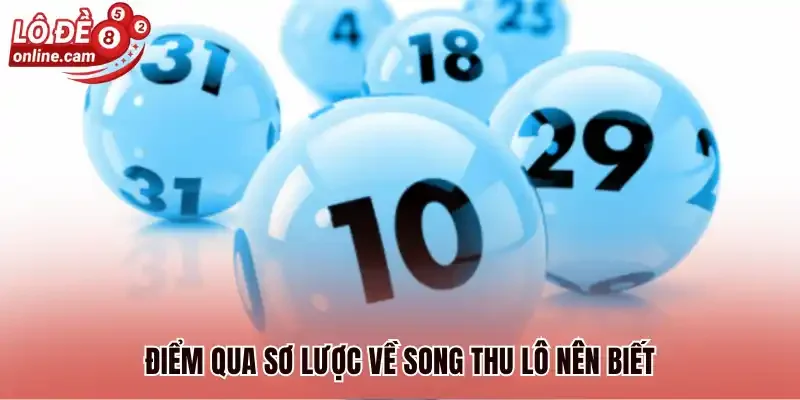 Song Thủ Lô Là Gì? Bật Mí 4+ Cách Soi Cầu Luôn Trúng 1 Điểm qua sơ lược về song thu lô nên biết