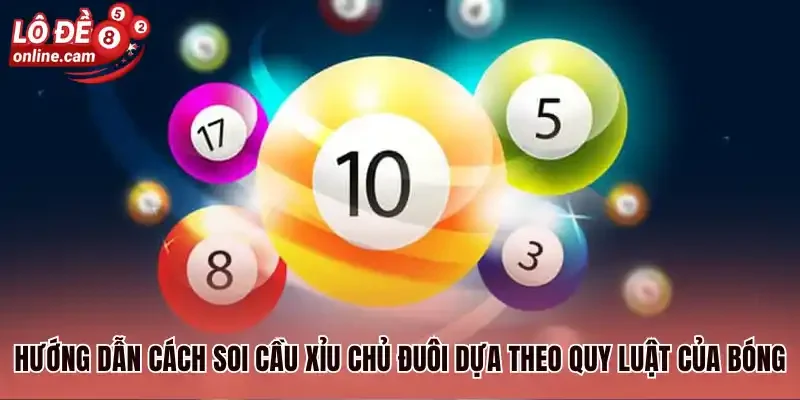 Xỉu Chủ Đuôi Là Gì? Điểm Qua 3 Cách Đánh Hiệu Quả Luôn Thắng 3 Hướng dẫn cách soi cầu xỉu chủ đuôi dựa theo quy luật của bóng