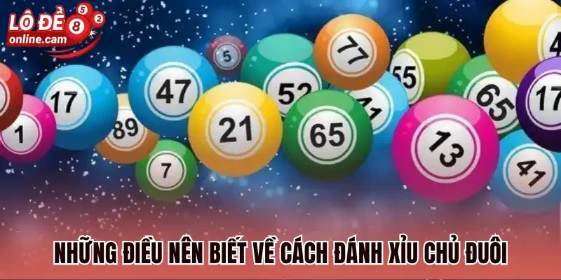 Xỉu Chủ Đuôi Là Gì? Điểm Qua 3 Cách Đánh Hiệu Quả Luôn Thắng 1 Những điều nên biết về cách đánh xỉu chủ đuôi