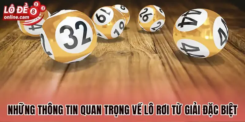 Lô Rơi Từ Giải Đặc Biệt - Hé Lộ 3 Cách Soi Cầu Luôn Trúng 1 Những thông tin quan trọng về lô rơi từ giải đặc biệt