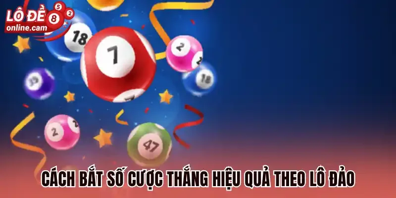 Lô Đảo Là Gì? Bí Kíp Soi Cầu Hiệu Quả Thắng Lớn Trong 2s 1 Cách bắt số cược thắng hiệu quả theo lô đảo