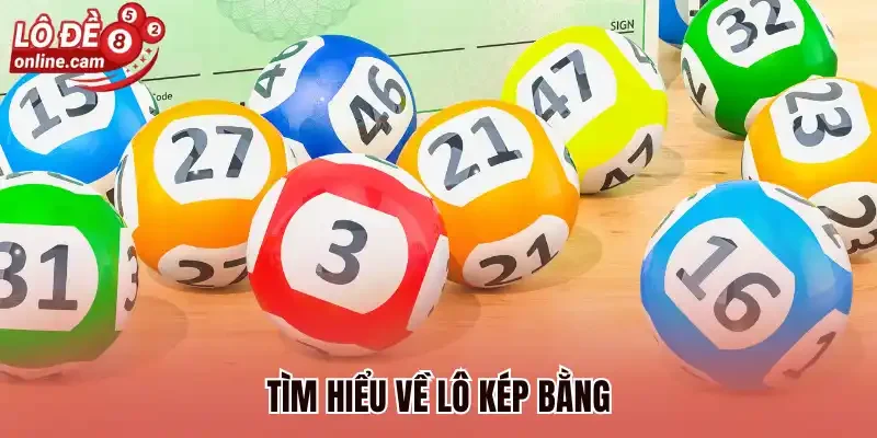 Bạch Thủ Lô Kép - Cách Đánh Lô Đề Bách Trúng Bách Thắng 2 Tìm hiểu về lô kép bằng