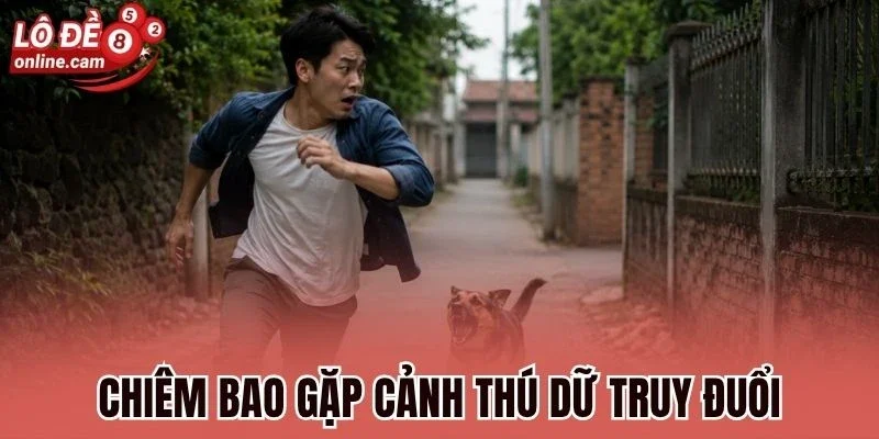 Mơ Bị Truy Đuổi - Ý Nghĩa Ẩn Sau Và Con Số May Mắn Lộc Tài 2 Chiêm bao gặp cảnh thú dữ truy đuổi