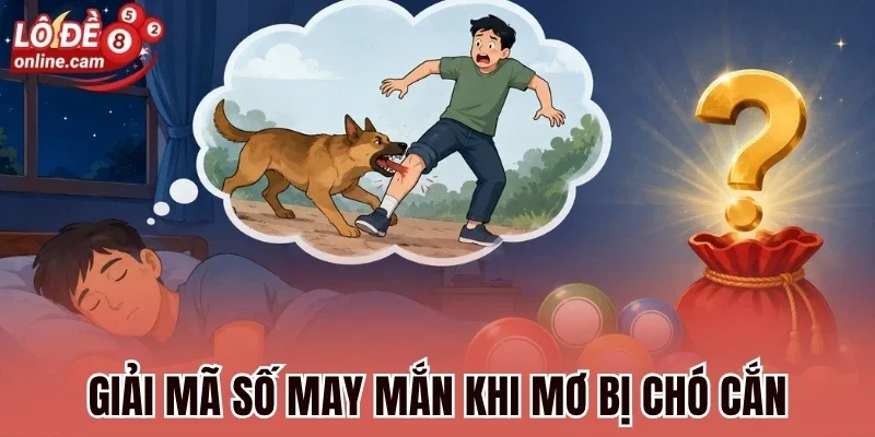 Mơ Bị Chó Cắn - Điềm Báo Gì Và Đánh Số Nào Chuẩn Nhất? 1 Giải mã số may mắn khi mơ bị chó cắn
