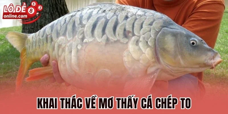 Mơ Thấy Cá Chép To - Ý Nghĩa, Tra Cứu Số Tài Lộc Liên Quan 1 Khai thác về mơ thấy cá chép to
