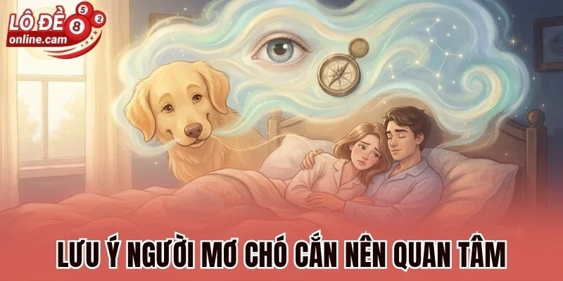 Mơ Bị Chó Cắn - Điềm Báo Gì Và Đánh Số Nào Chuẩn Nhất? 3 Lưu ý người mơ chó cắn nên quan tâm