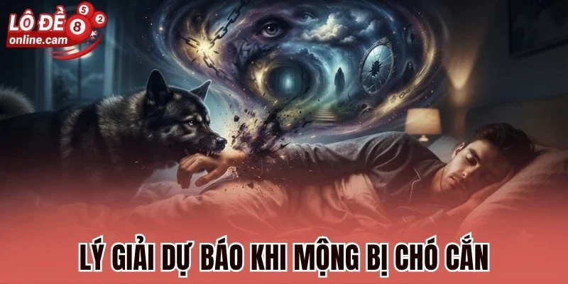 Mơ Bị Chó Cắn - Điềm Báo Gì Và Đánh Số Nào Chuẩn Nhất? 2 Lý giải dự báo khi mộng bị chó cắn