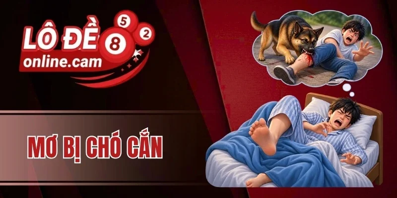 Mơ Bị Chó Cắn - Điềm Báo Gì Và Đánh Số Nào Chuẩn Nhất?