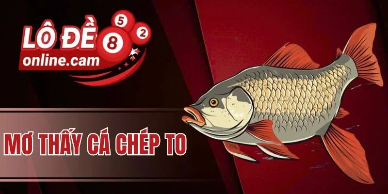 Mơ thấy cá chép to