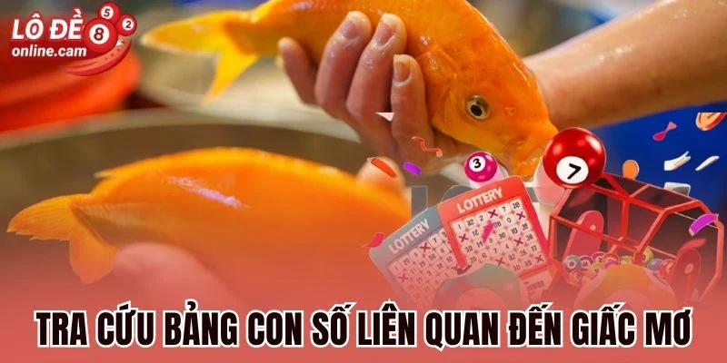 Mơ Thấy Cá Chép To - Ý Nghĩa, Tra Cứu Số Tài Lộc Liên Quan 3 Tra cứu bảng con số liên quan đến giấc mơ