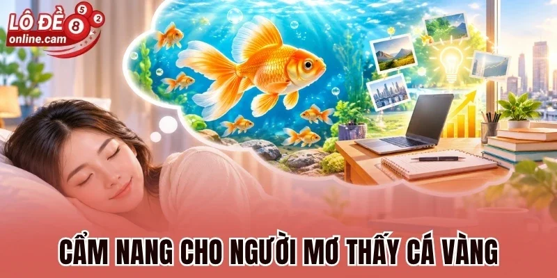 Mơ Gặp Cá Vàng - Bật Mí Ý Nghĩa, Dự Báo Và Số May Mắn 3 Cẩm nang cho người mơ thấy cá vàng