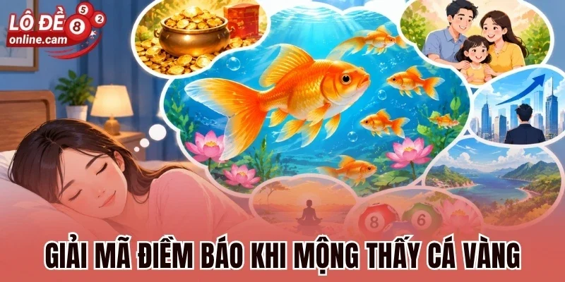 Mơ Gặp Cá Vàng - Bật Mí Ý Nghĩa, Dự Báo Và Số May Mắn 2 Giải mã điềm báo khi mộng thấy cá vàng