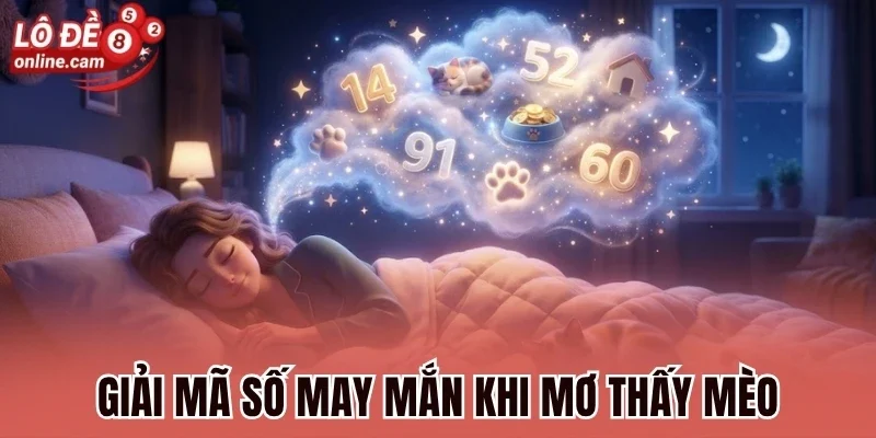 Mơ Thấy Mèo - Ẩn Chứa Nhiều Vận May Bất Ngờ Sắp Tới 1 Giải mã số may mắn khi mơ thấy mèo