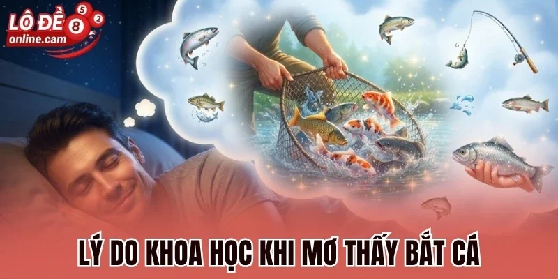 Mơ Bắt Cá - Dự Báo Vận Mệnh Và Số May Mắn Tương Lai 3 Lý do khoa học khi mơ thấy bắt cá