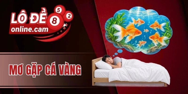 Mơ gặp cá vàng