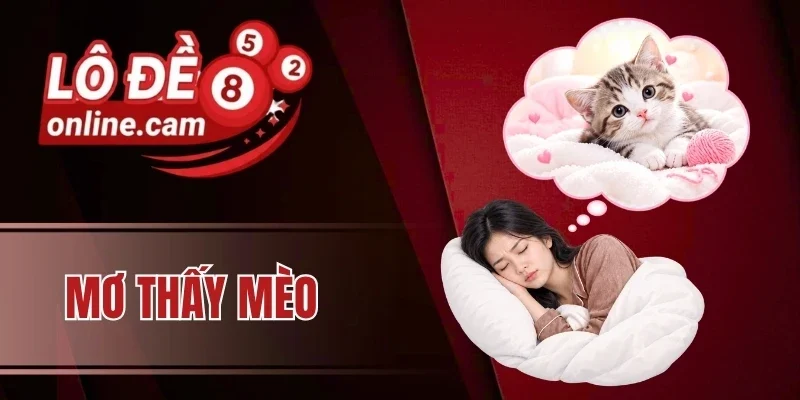 Mơ thấy mèo